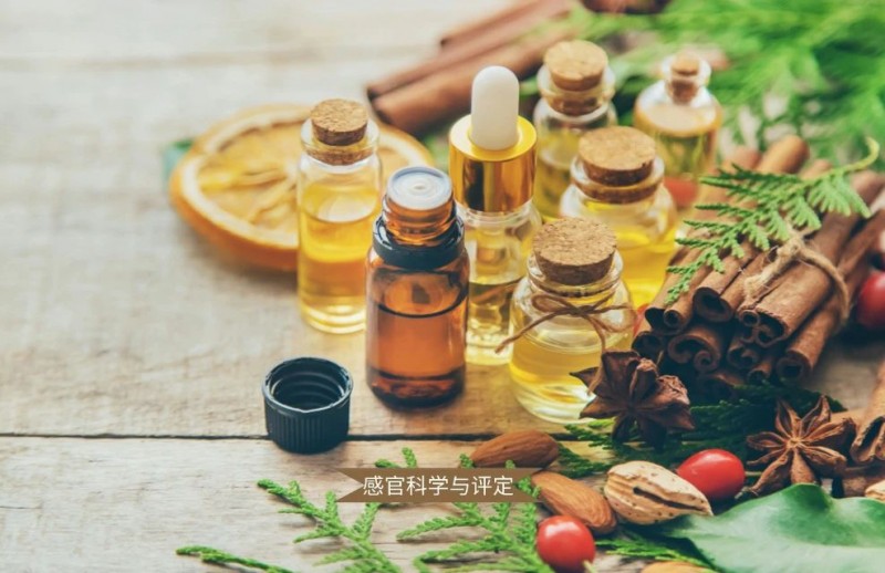 微信圖片_20250507160720