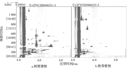 微信圖片_2025-08-07_145004_849