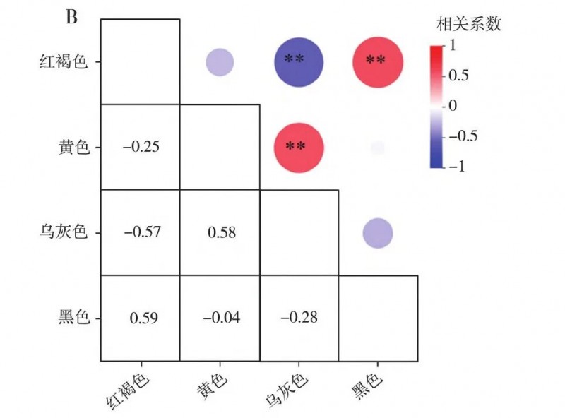 微信圖片_2025-11-24_172935_736