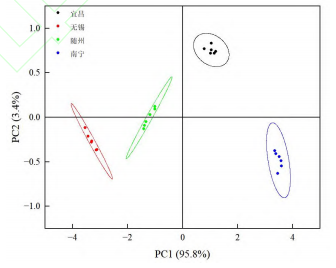 微信圖片_2025-12-05_154748_430