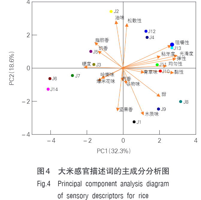 微信圖片_2026-02-26_132723_153